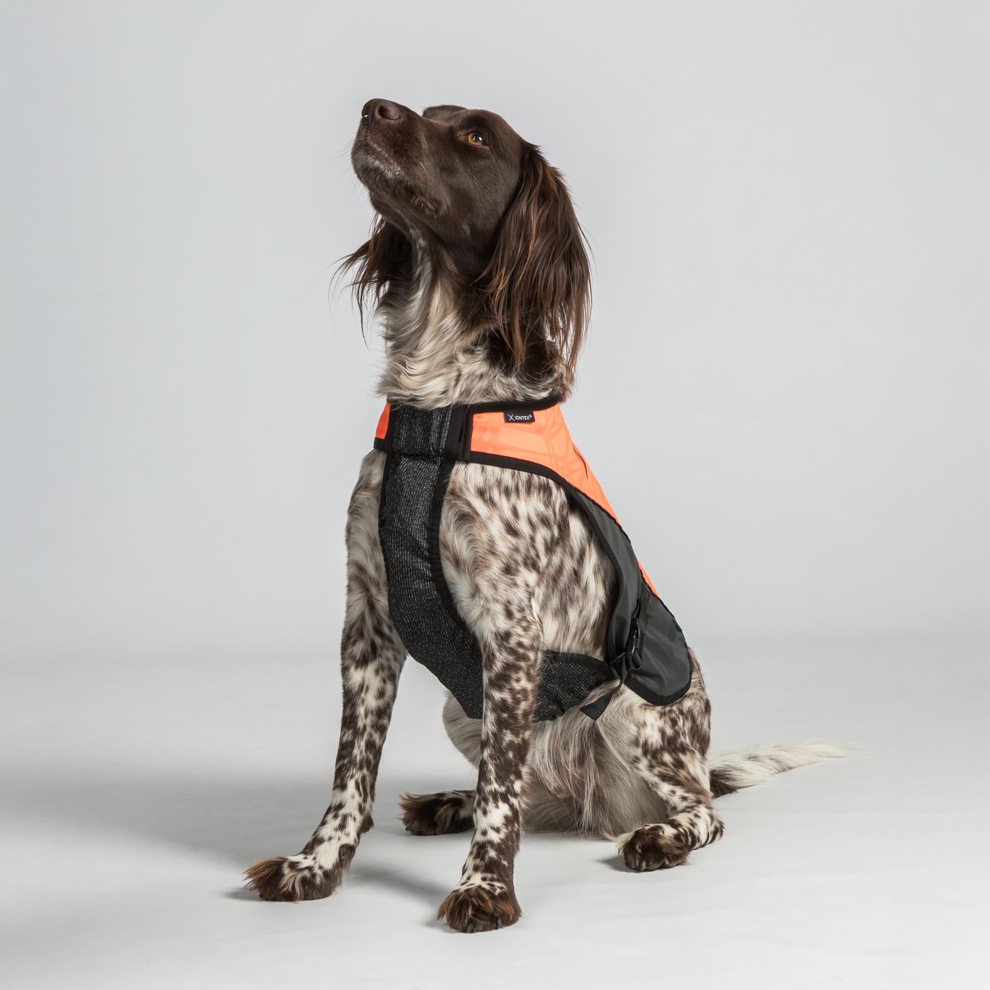 TRAKK Protège-poitrine pour chien