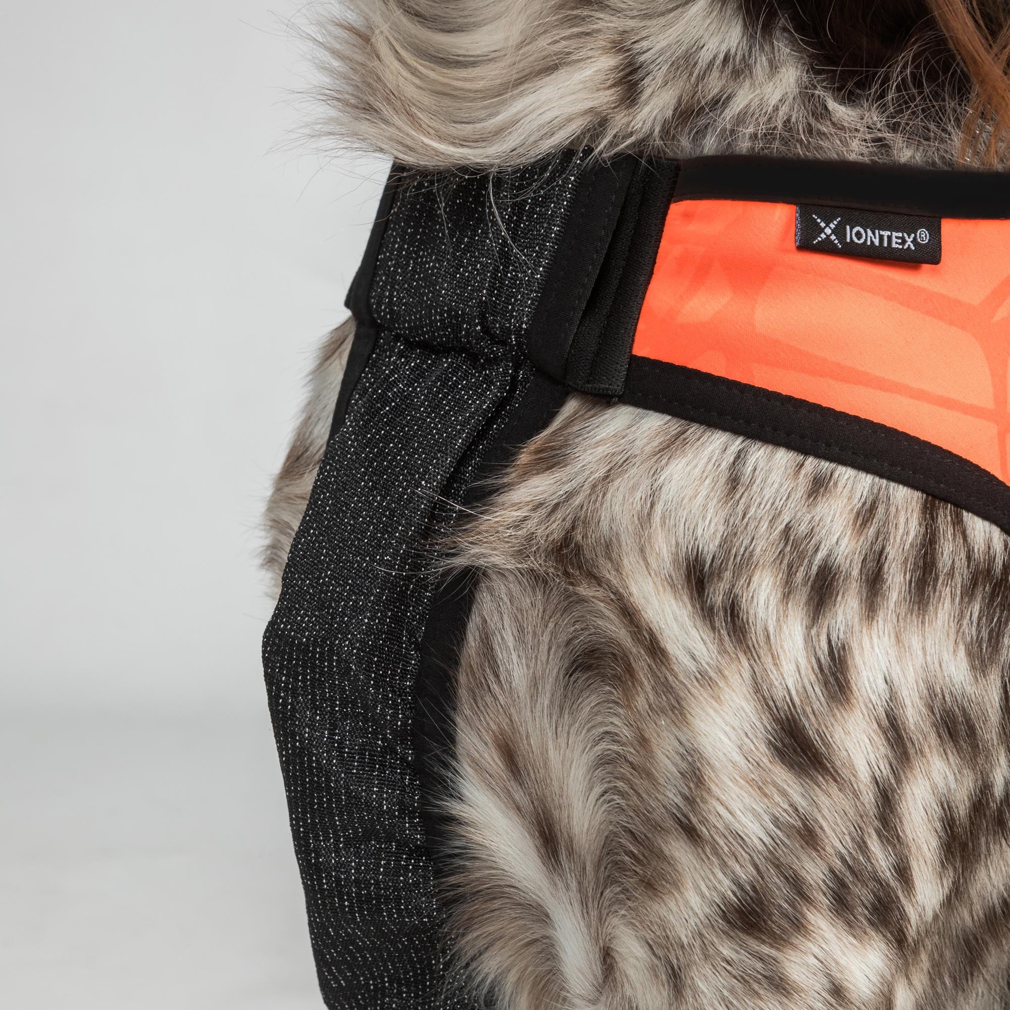 TRAKK Protège-poitrine pour chien