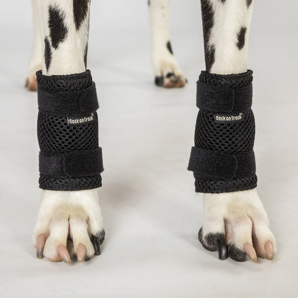 Tutore per zampe di cane "Milo" - Coppia