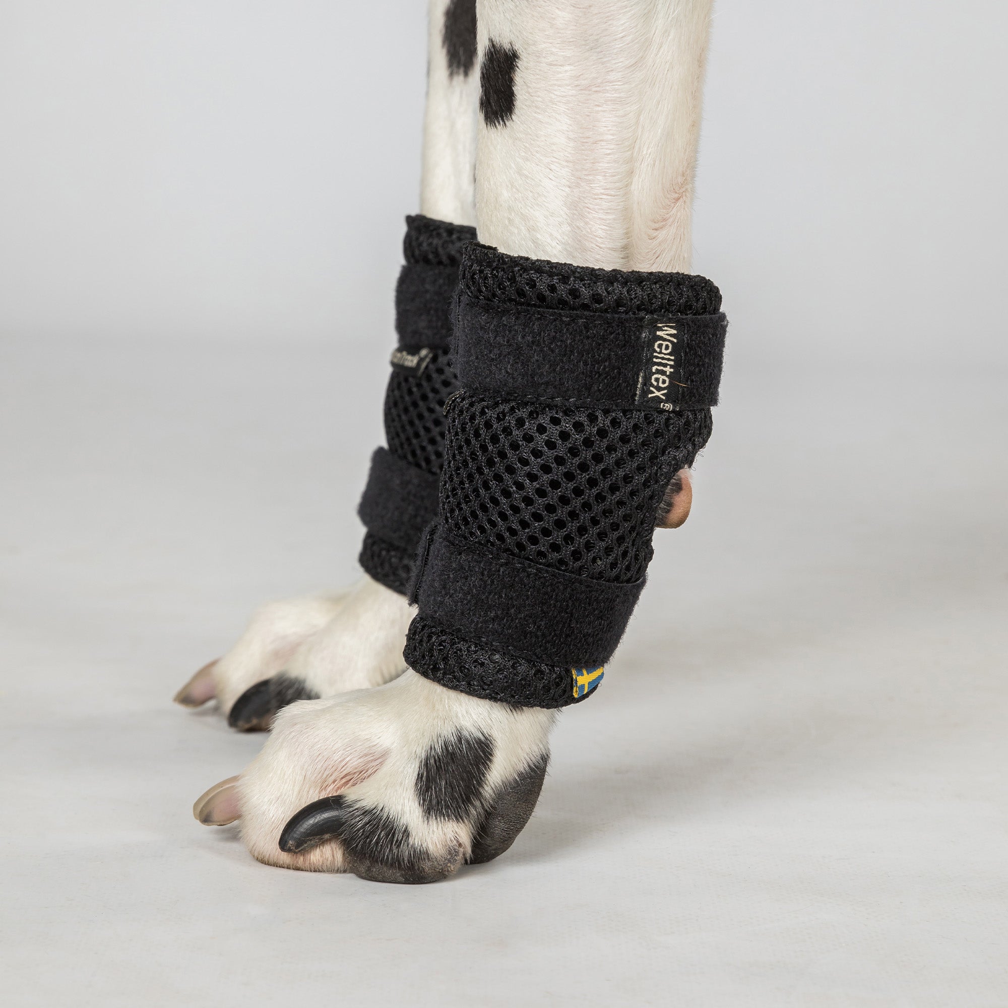 Protection patte avant Milo
