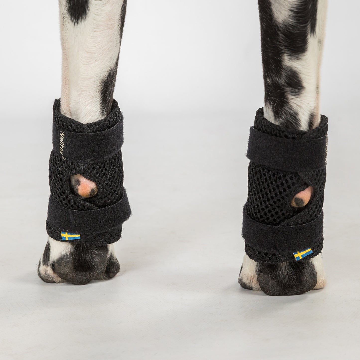 Tutore per zampe di cane "Milo" - Coppia