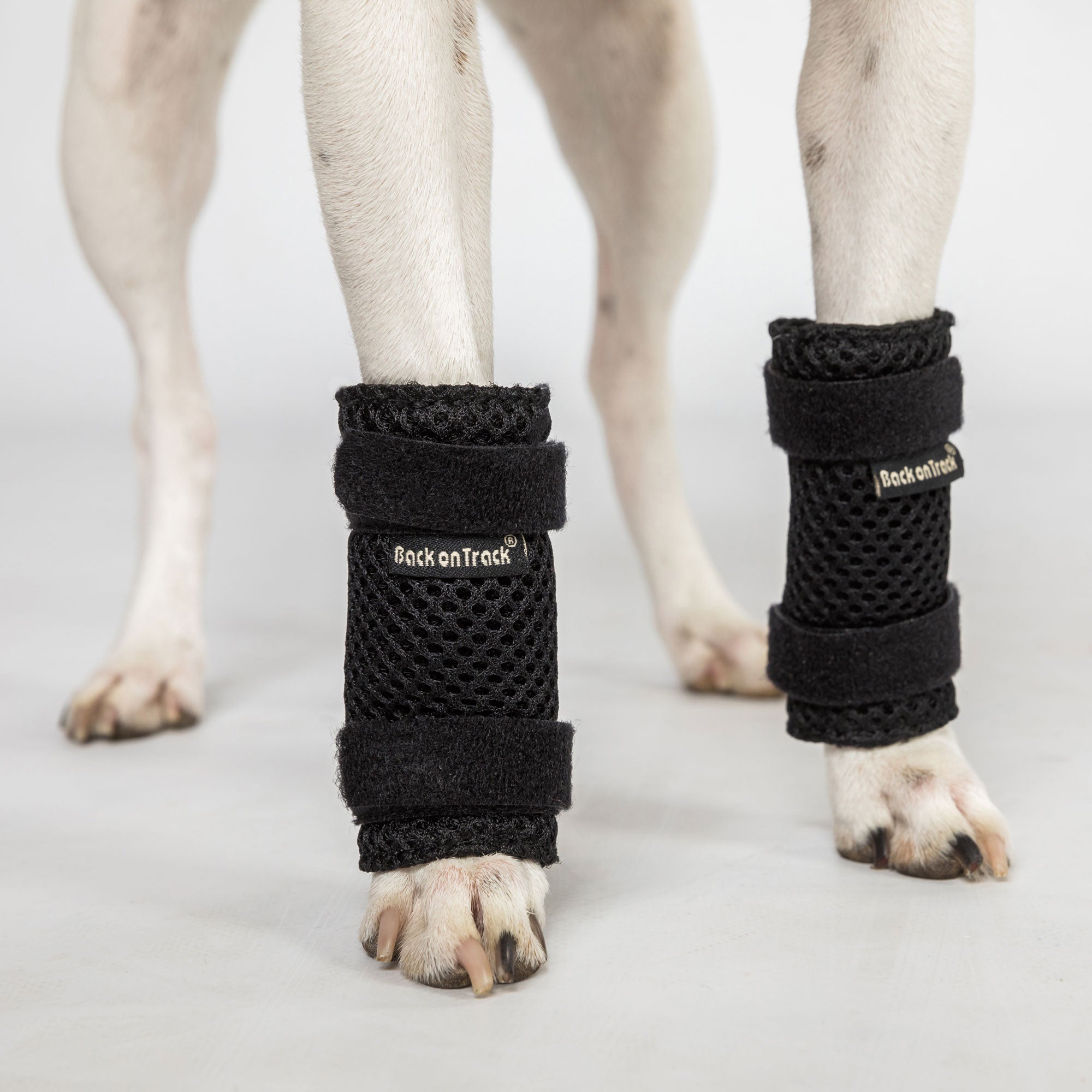 Protection patte avant Milo