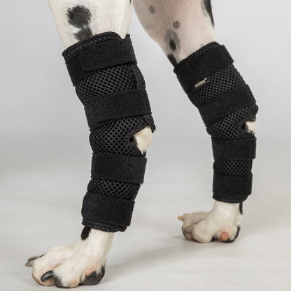 Attelle de Jarret pour Chien "Dixie" - Paire