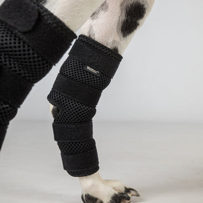 Attelle de Jarret pour Chien "Dixie" - Paire