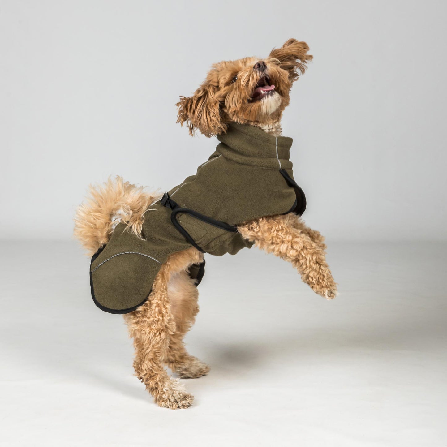 BAY Fleece Dog Coat, High set tail