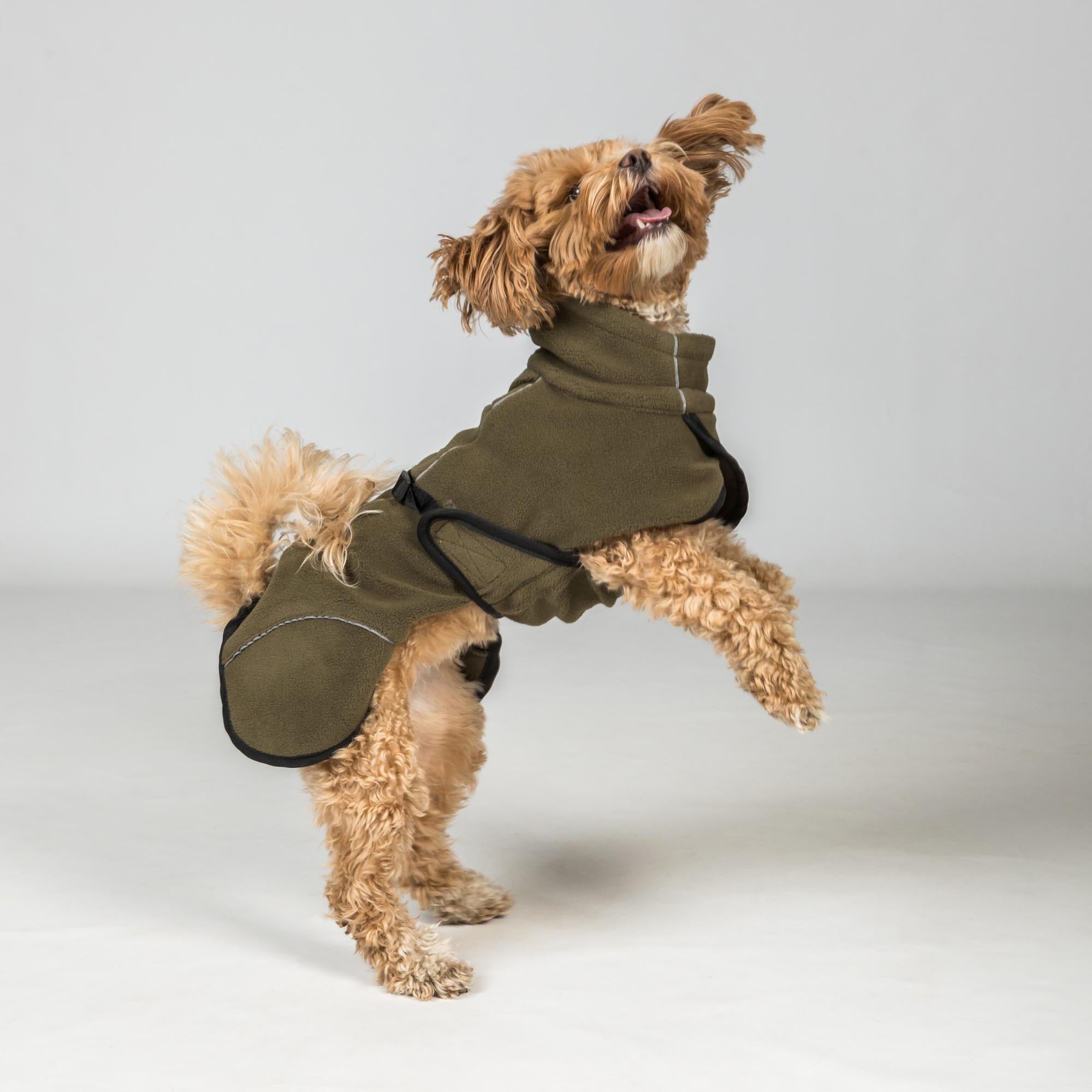 BAY Manteau Polaire pour chien, queue haute