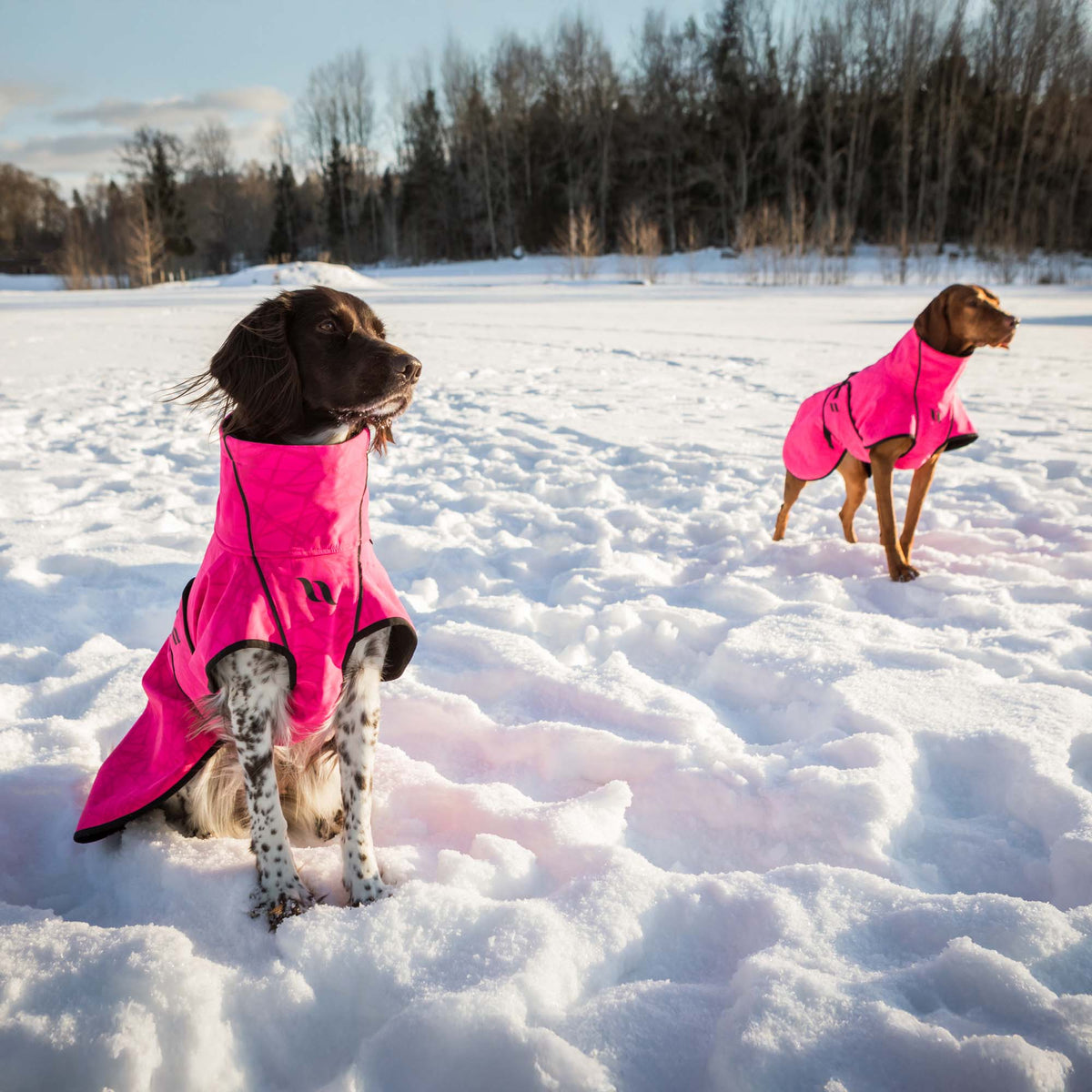 Manteau pour chien BARK Softshell, queue haute
