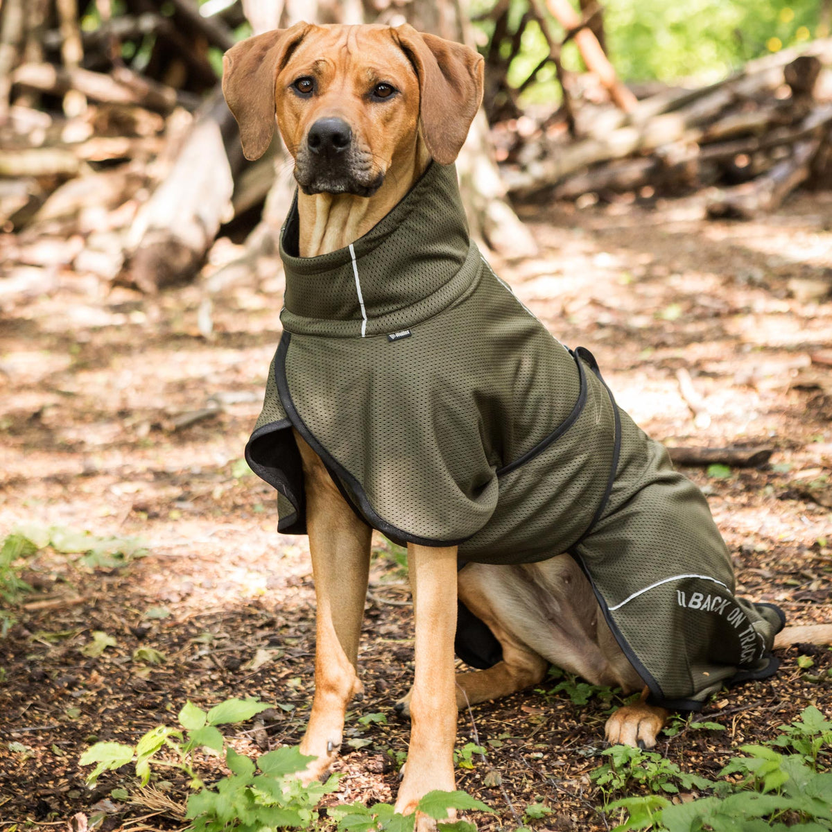 Manteau pour chien BAY Mesh, Queue portée bas