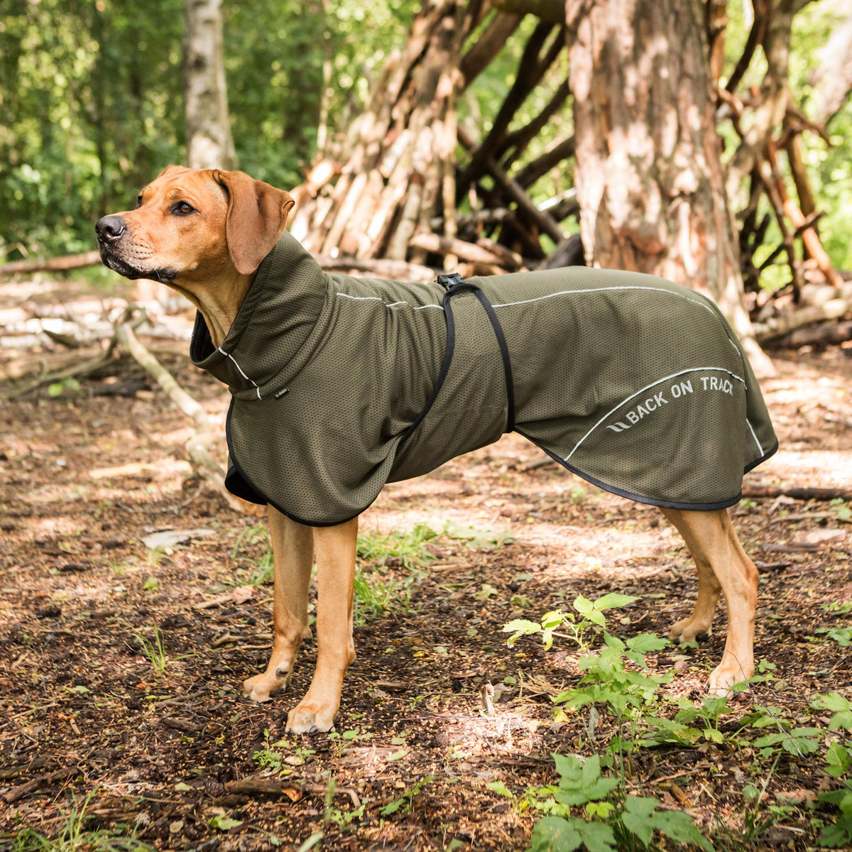 Manteau pour chien BAY Mesh, Queue portée bas