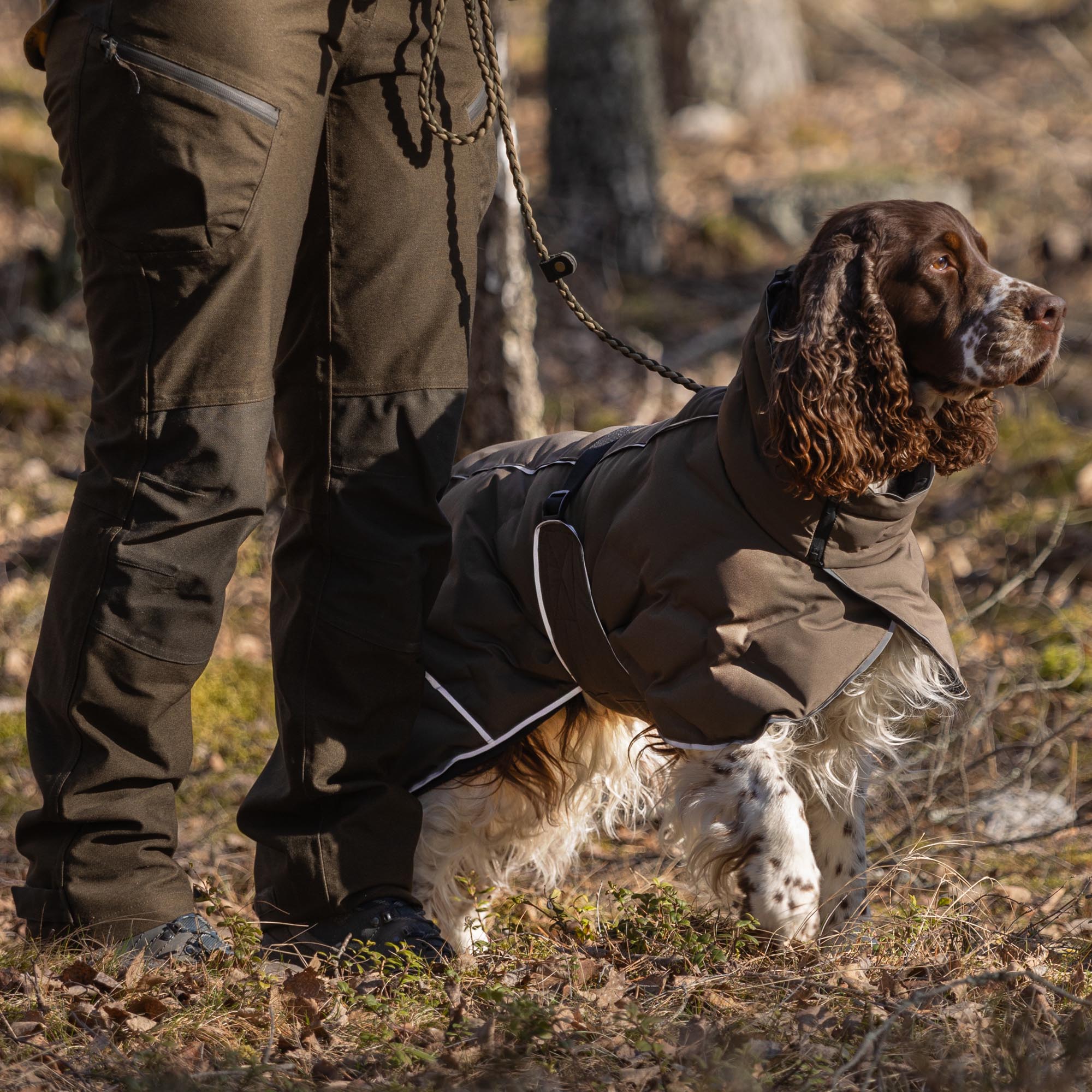 BAY Manteau thermique pour chien, queue basse