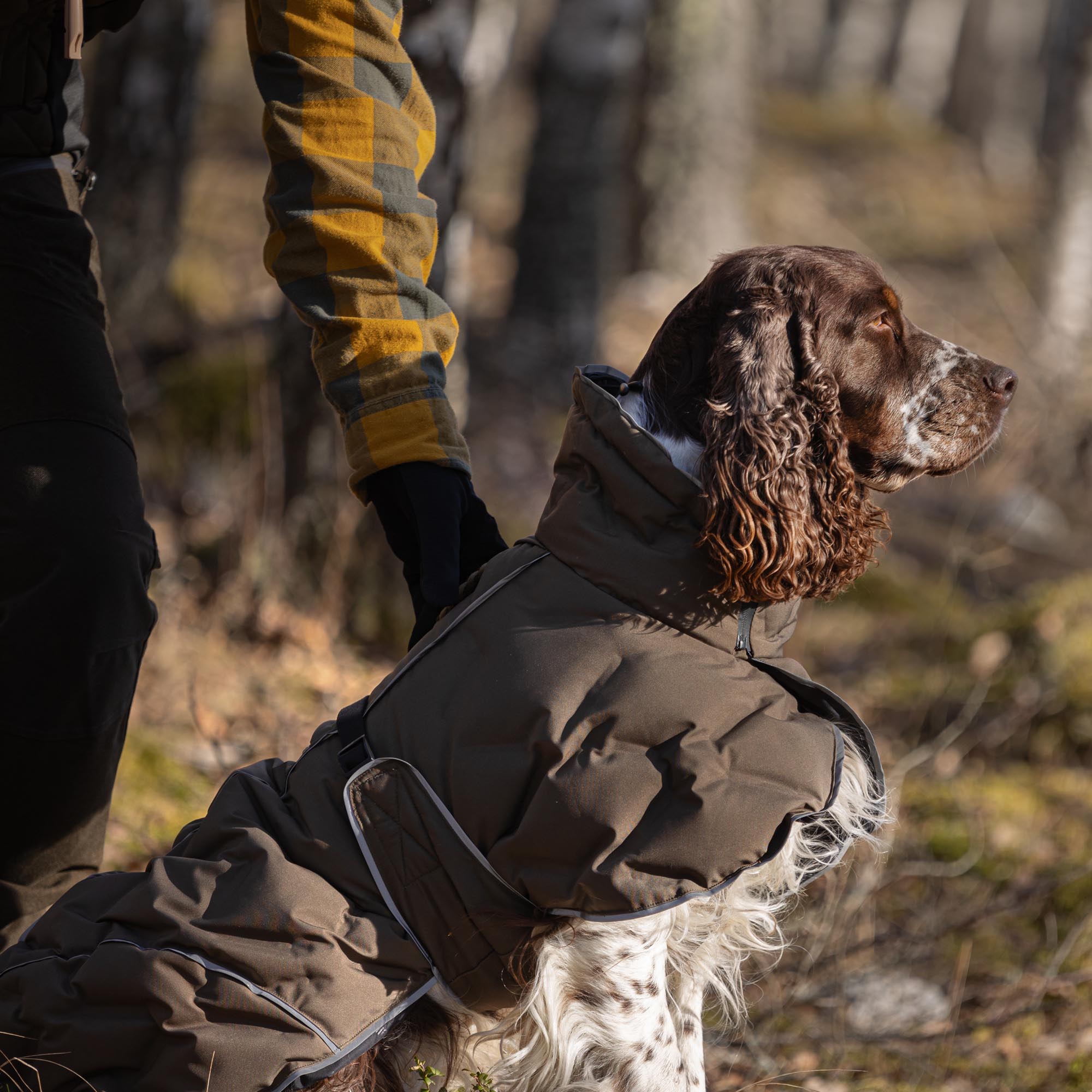 BAY Manteau thermique pour chien, queue basse