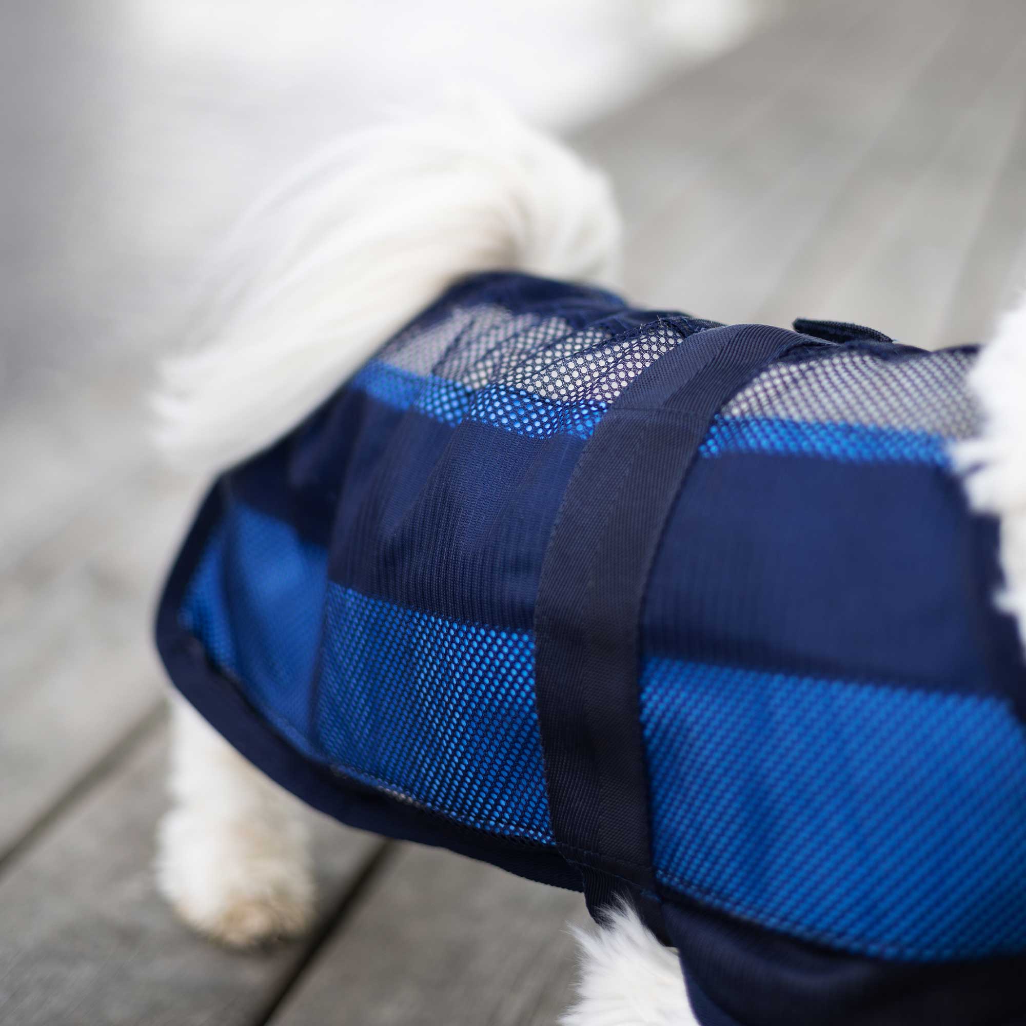 Manteau pour chien Cool on Track 2.0
