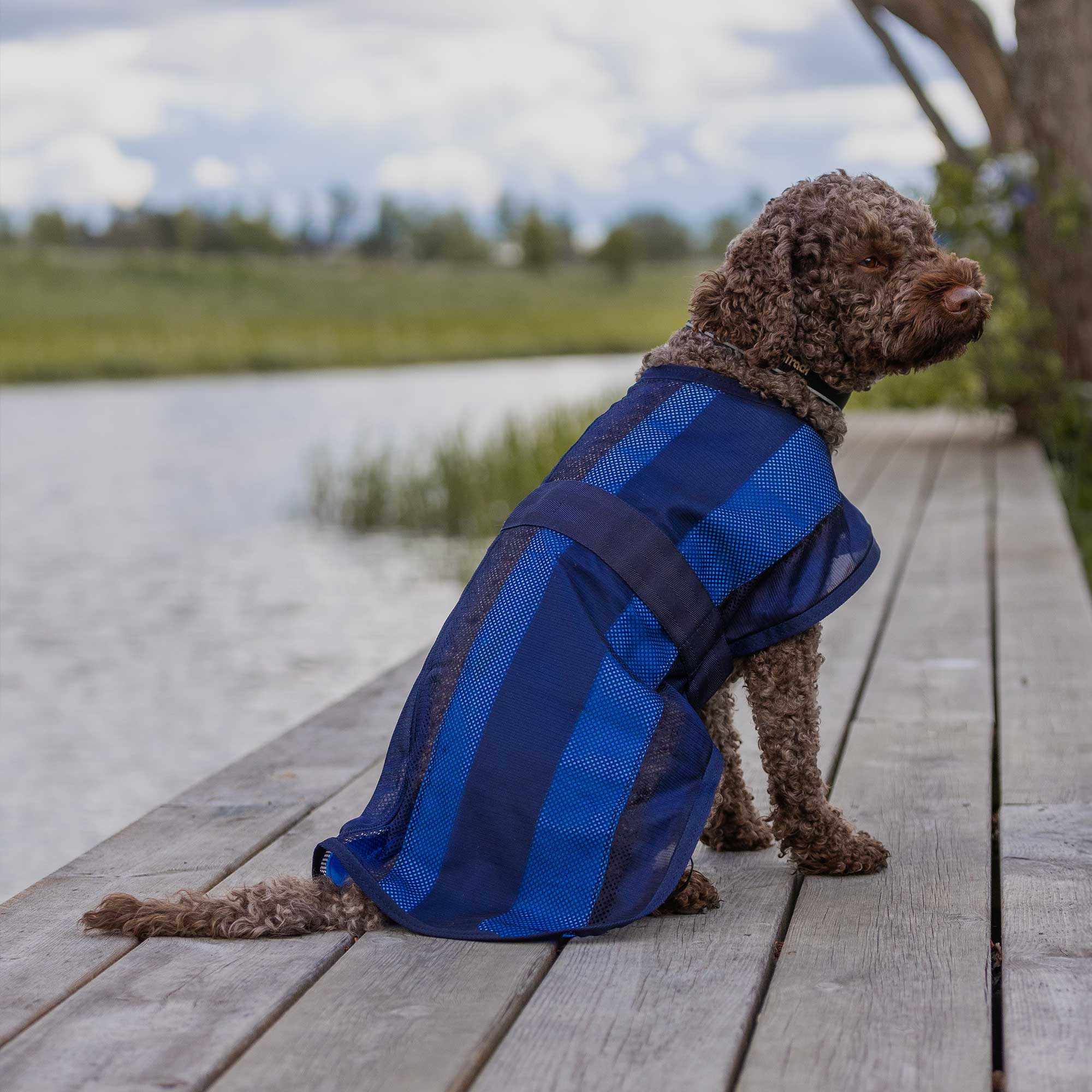 Manteau pour chien Cool on Track 2.0