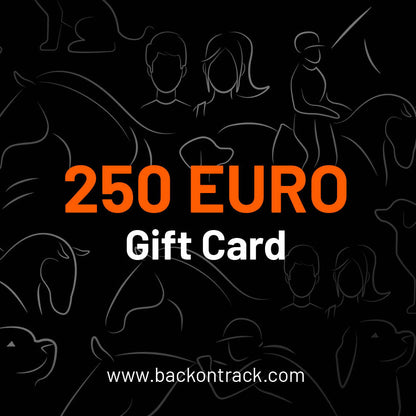 Choisissez la valeur de votre carte-cadeau