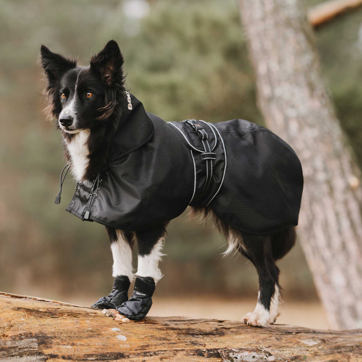 Dog Rain Coat with Filling