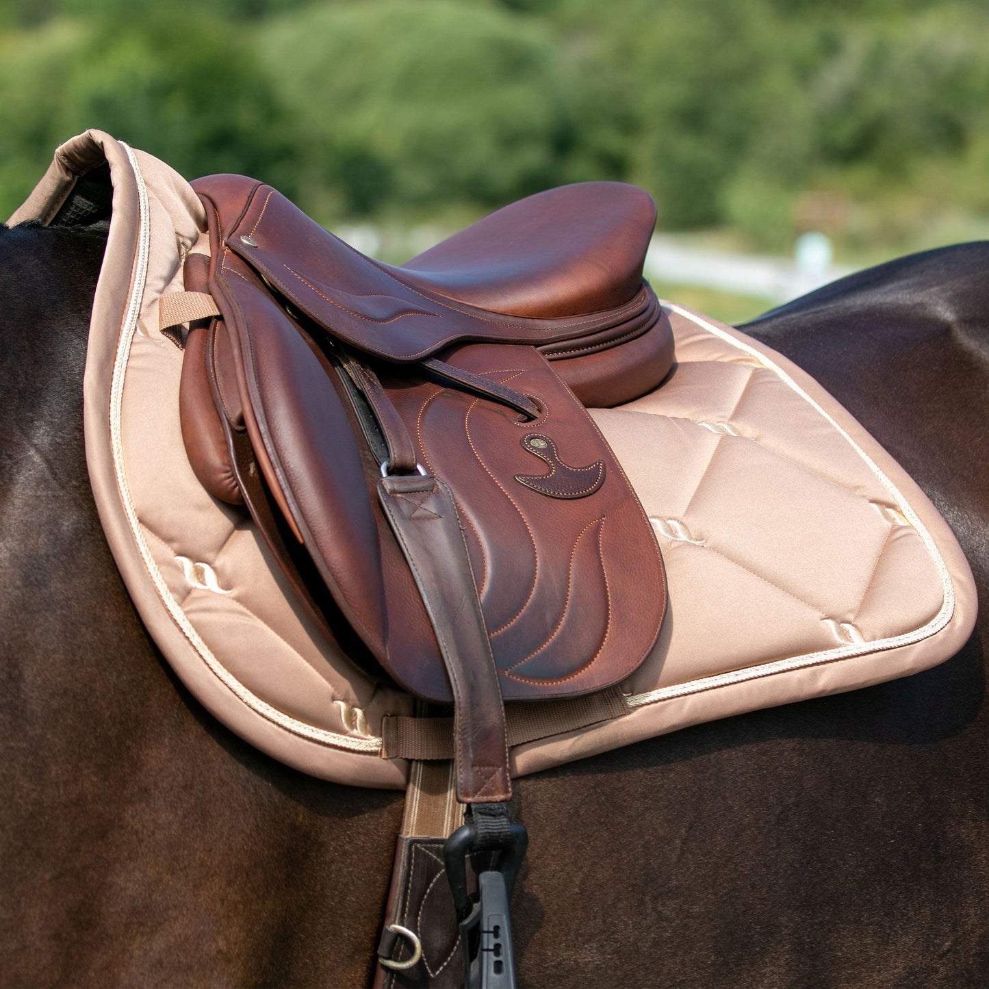 Sottosella Dressage Collezione Nights