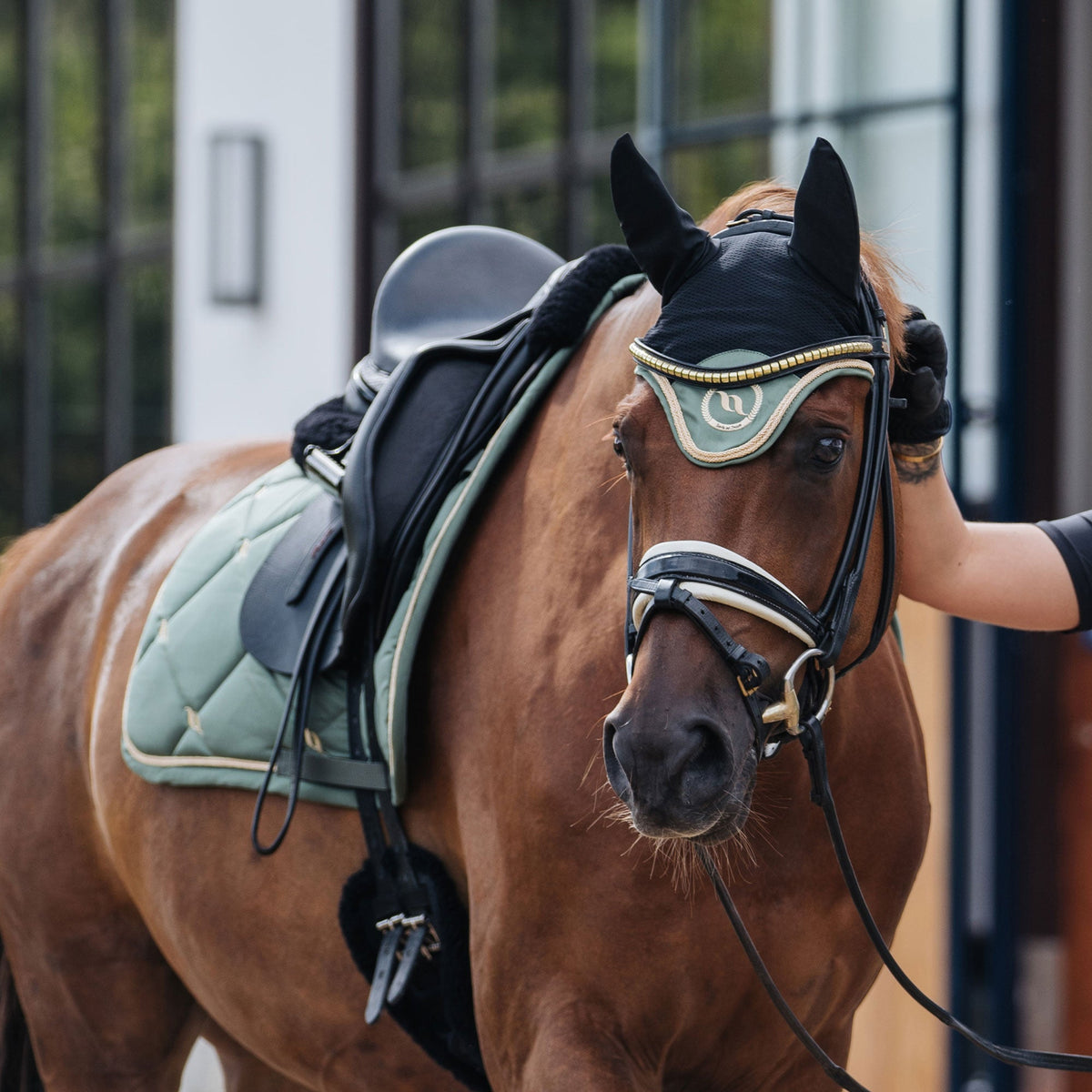 Sottosella Dressage Collezione Nights
