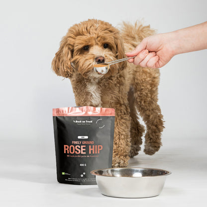Poudre fine de cynorhodon pour chiens