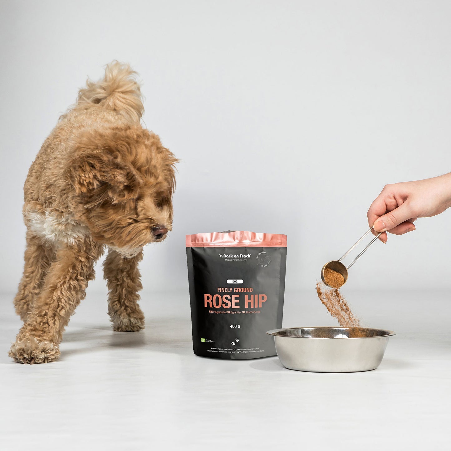 Poudre fine de cynorhodon pour chiens