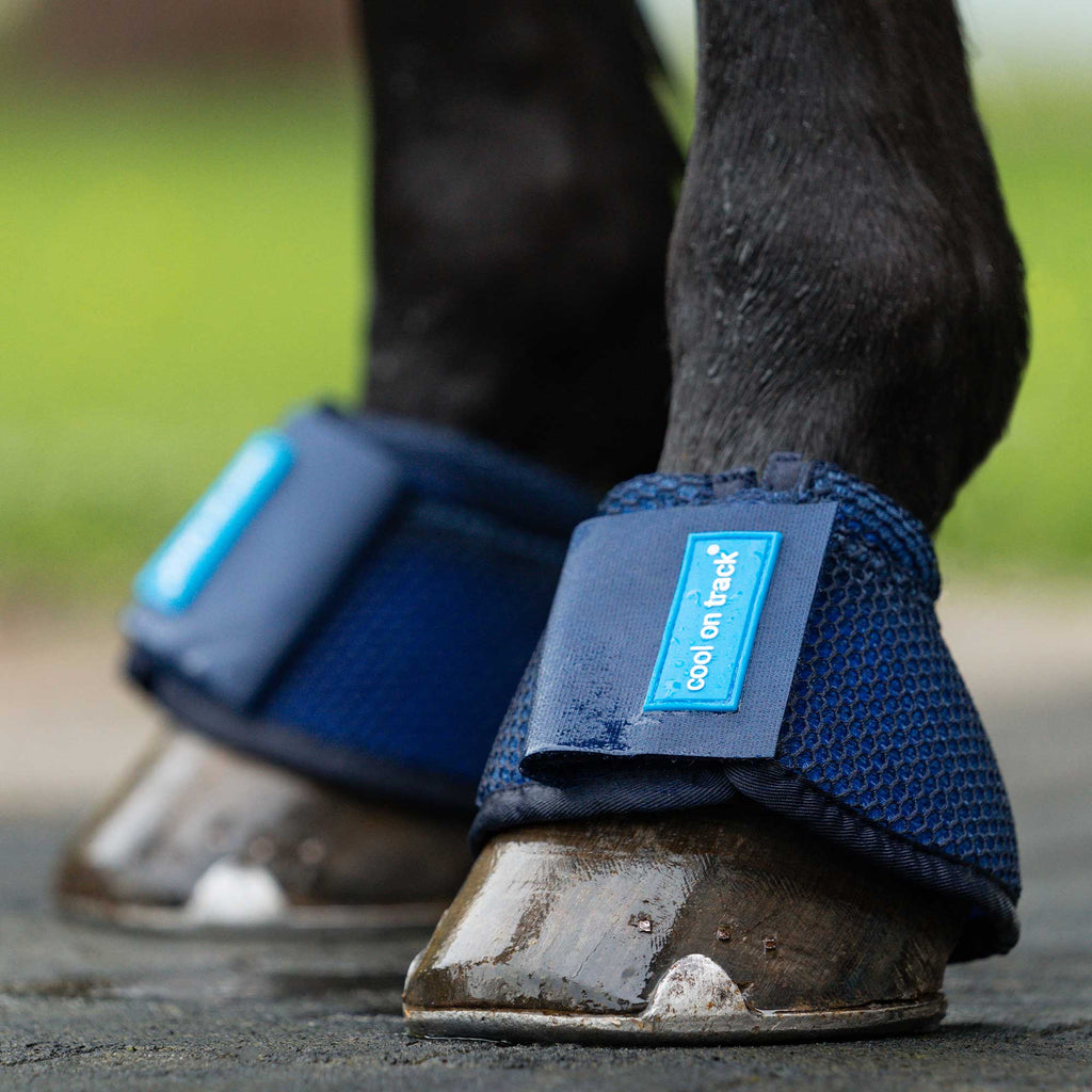 Cloches Back On Track Pour Chevaux - Thermothérapie Welltex