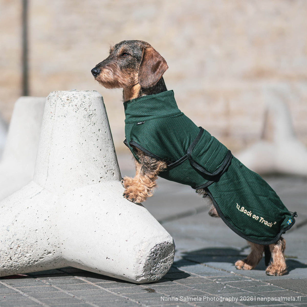 Cappotto Lungo per Cane in Mesh "Buddy"