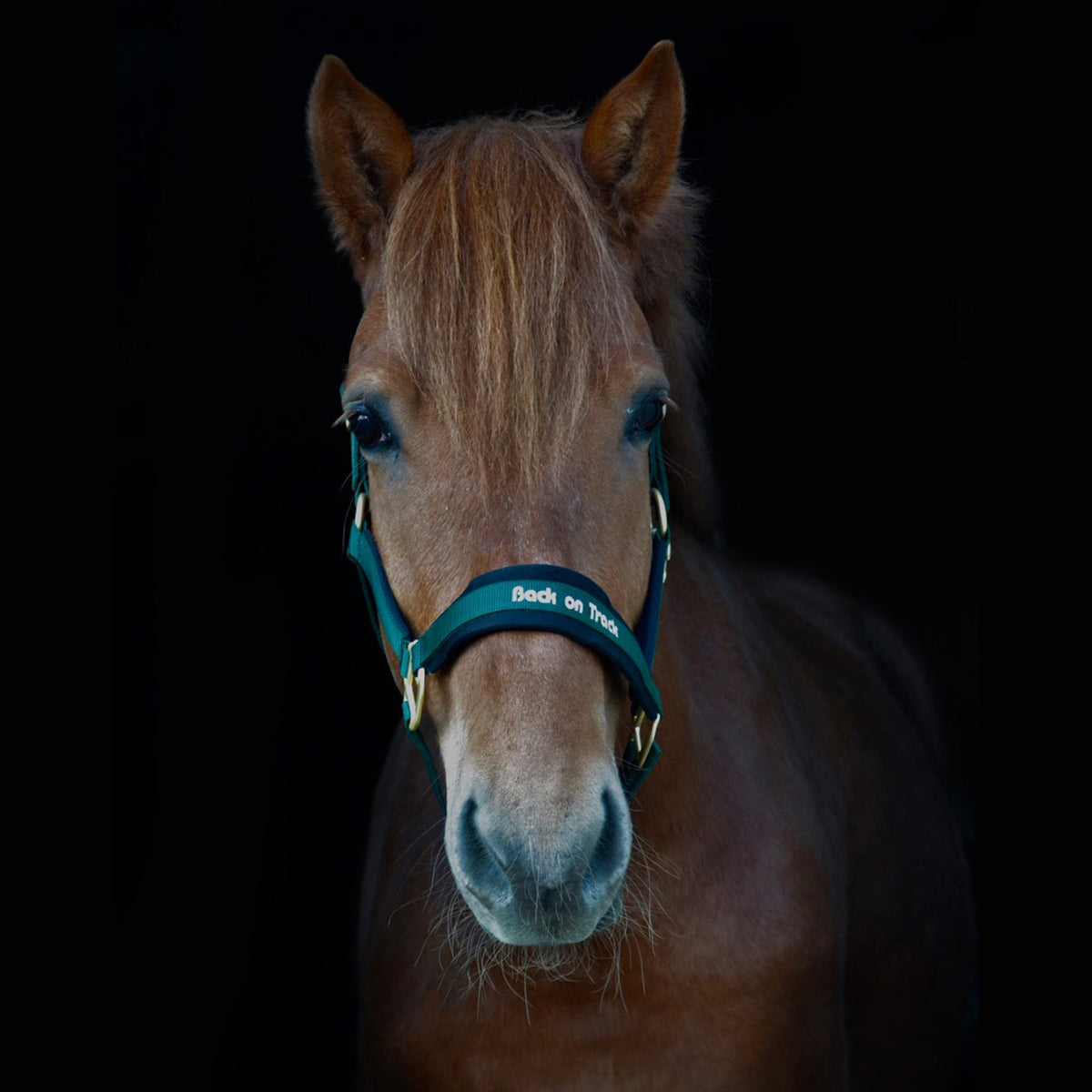 Grimma Werano - Back on Track Sverige (5300210401435)