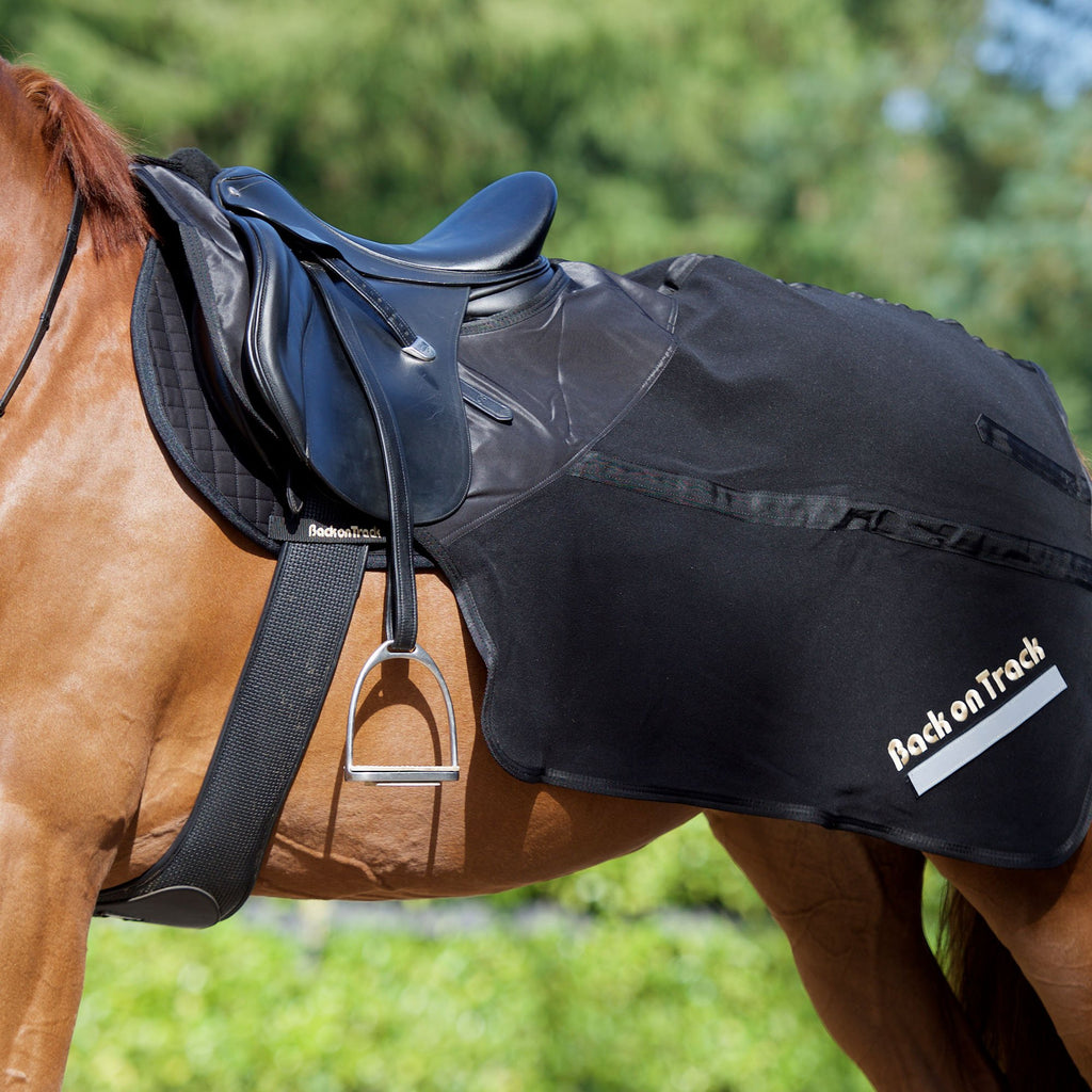 Back on Track Royal Quick Deluxe Bandages pour Cheval Noir Taille XL Back on Track Royal Quick Deluxe Bandages pour Cheval Noir Taille XL