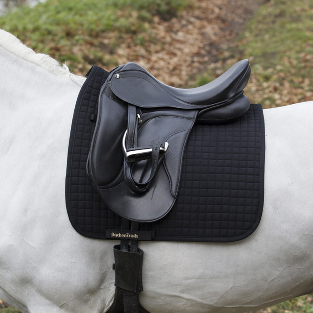 Tapis de selle de dressage n° 1