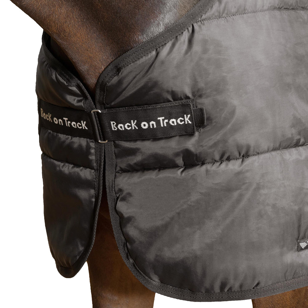 Innerfoder Felix - Back on Track Sverige (5300188545179)