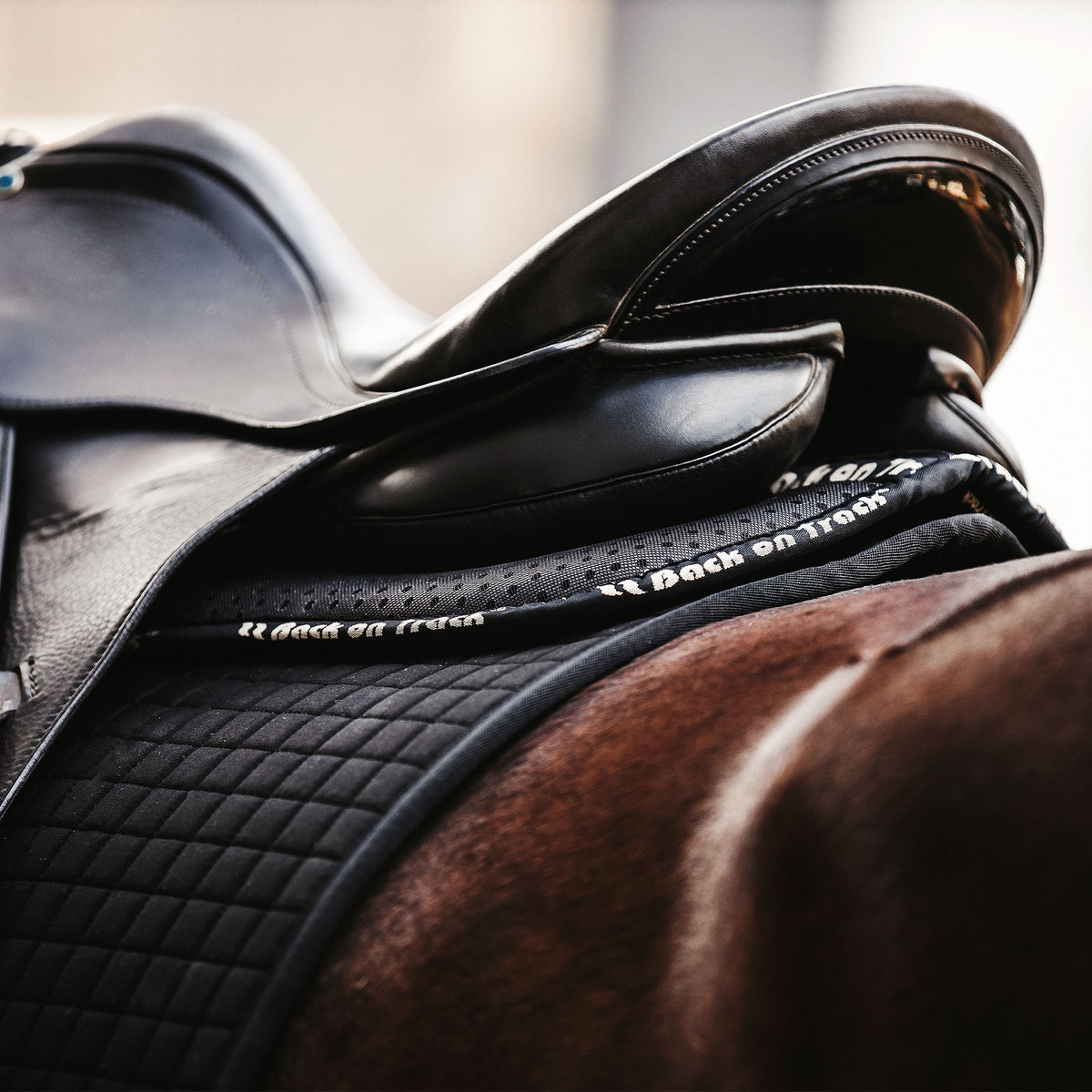 Tapis de Selle "Aurora" Impact