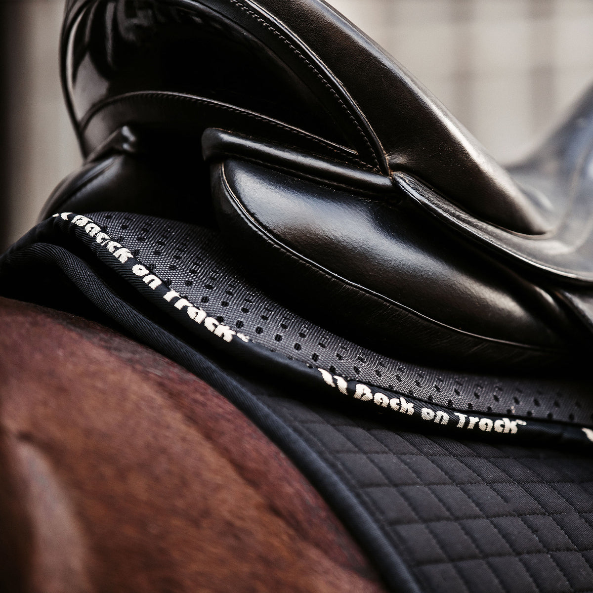 Tapis de Selle "Aurora" Impact