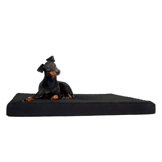 Matelas pour chien