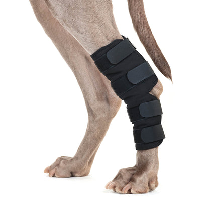 Hundhasskydd - Back on Track Sverige (5300161118363)