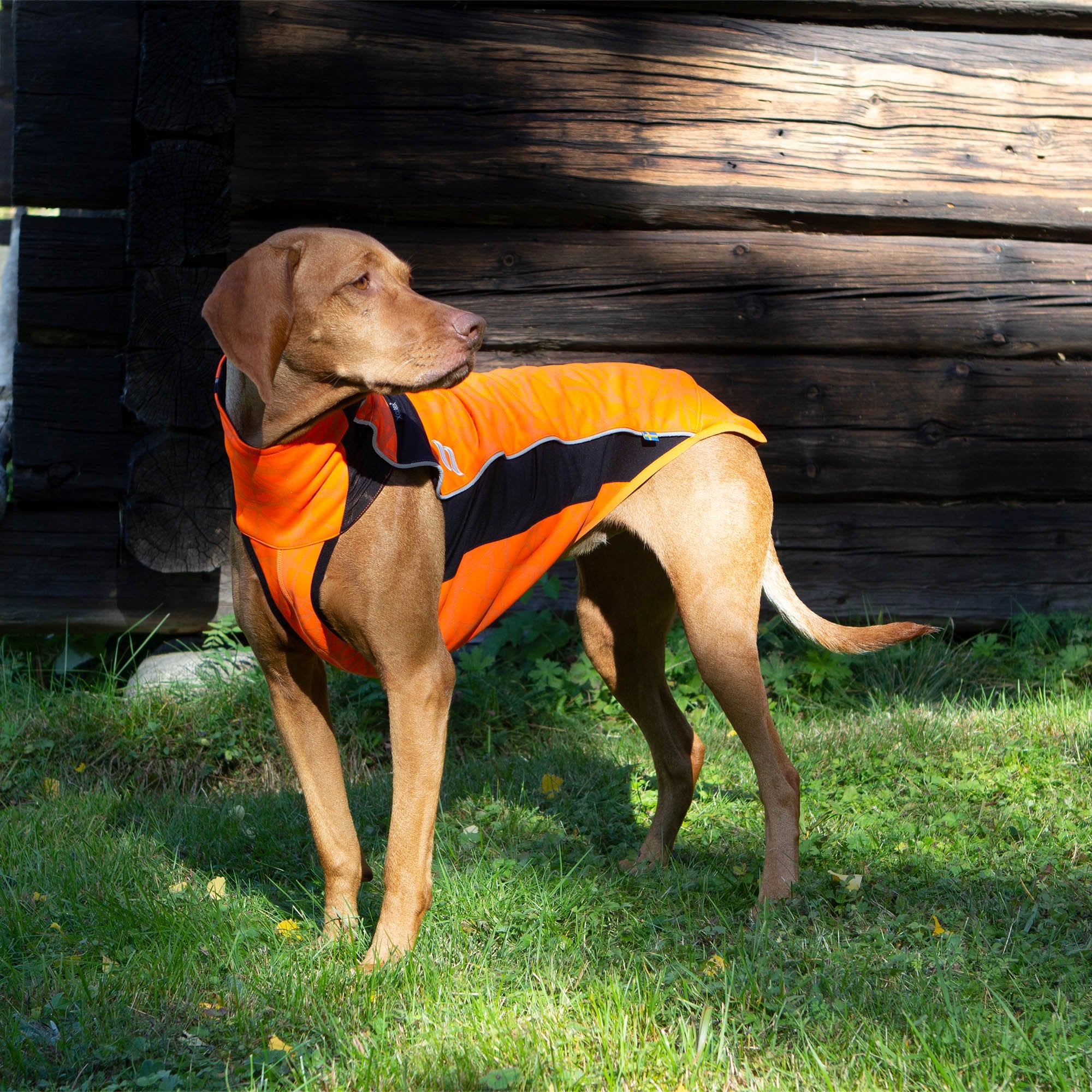 Eddie High Visibility Multi-functional Dog Sweater