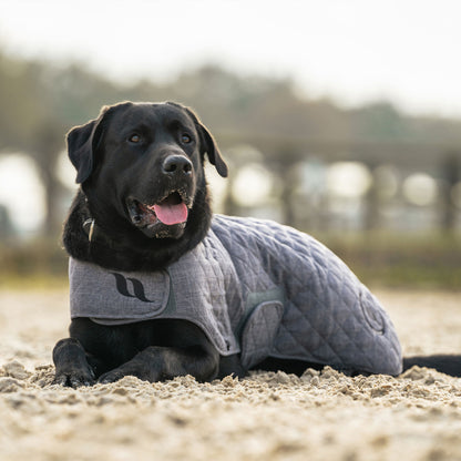 Cappottino per cani Collezione Haze
