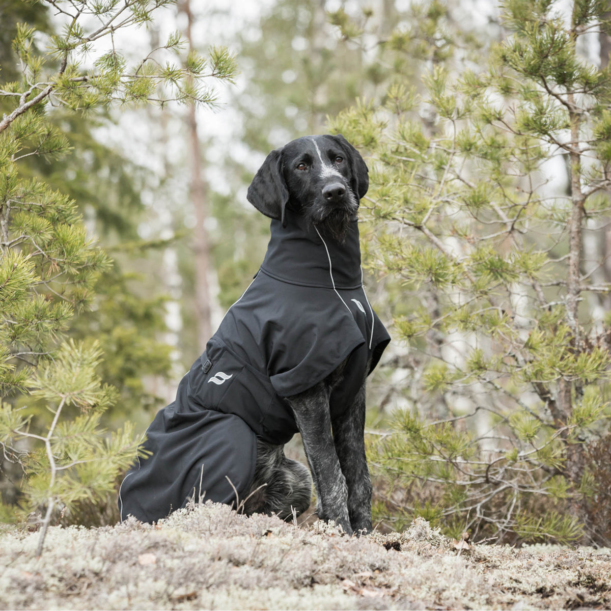 "Nella" All Weather Dog Coat