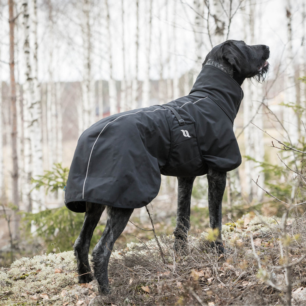 "Nella" All Weather Dog Coat