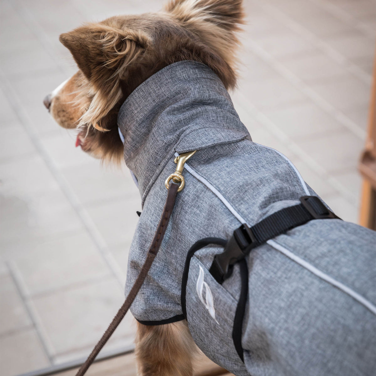 "Nella" All Weather Dog Coat
