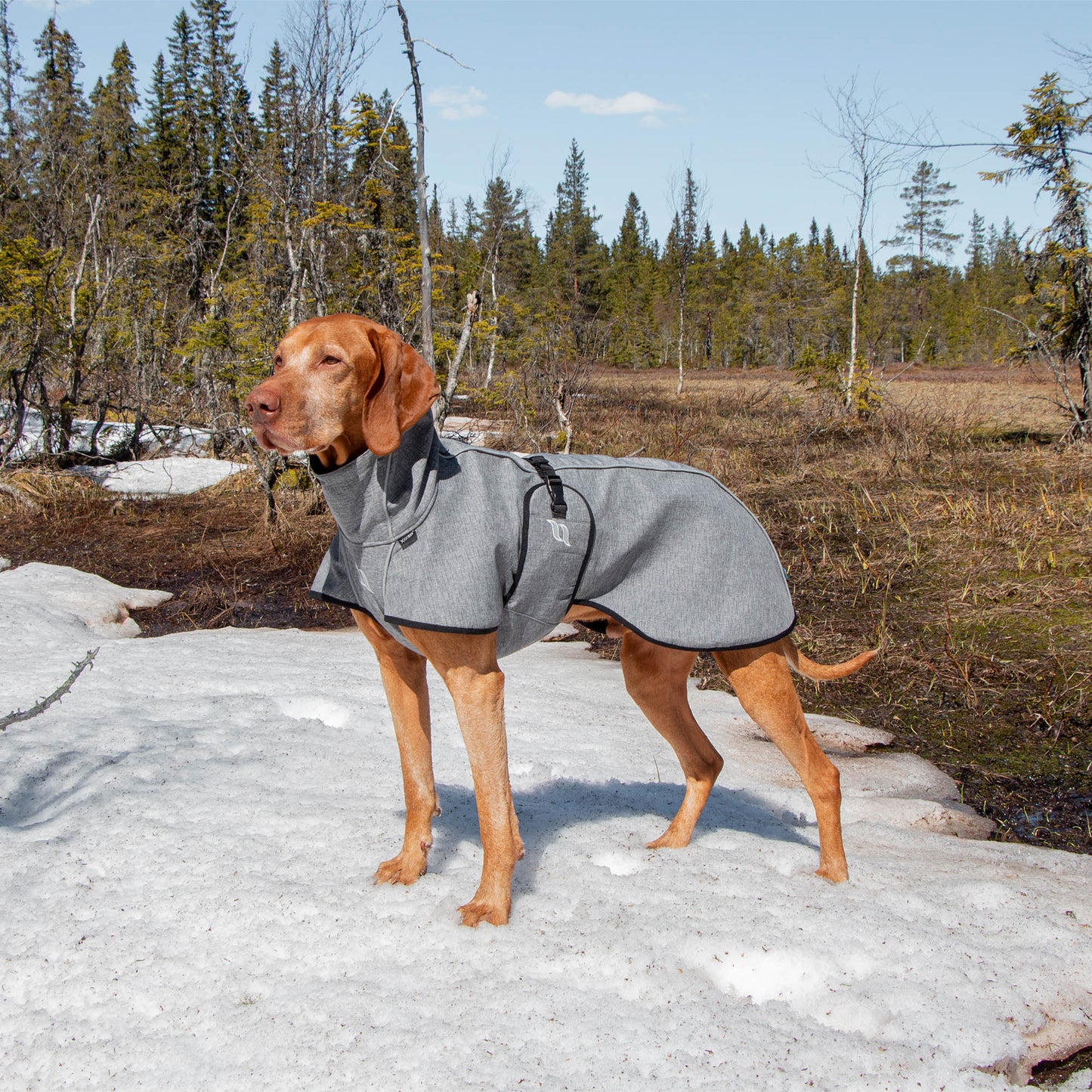 "Nella" All Weather Dog Coat