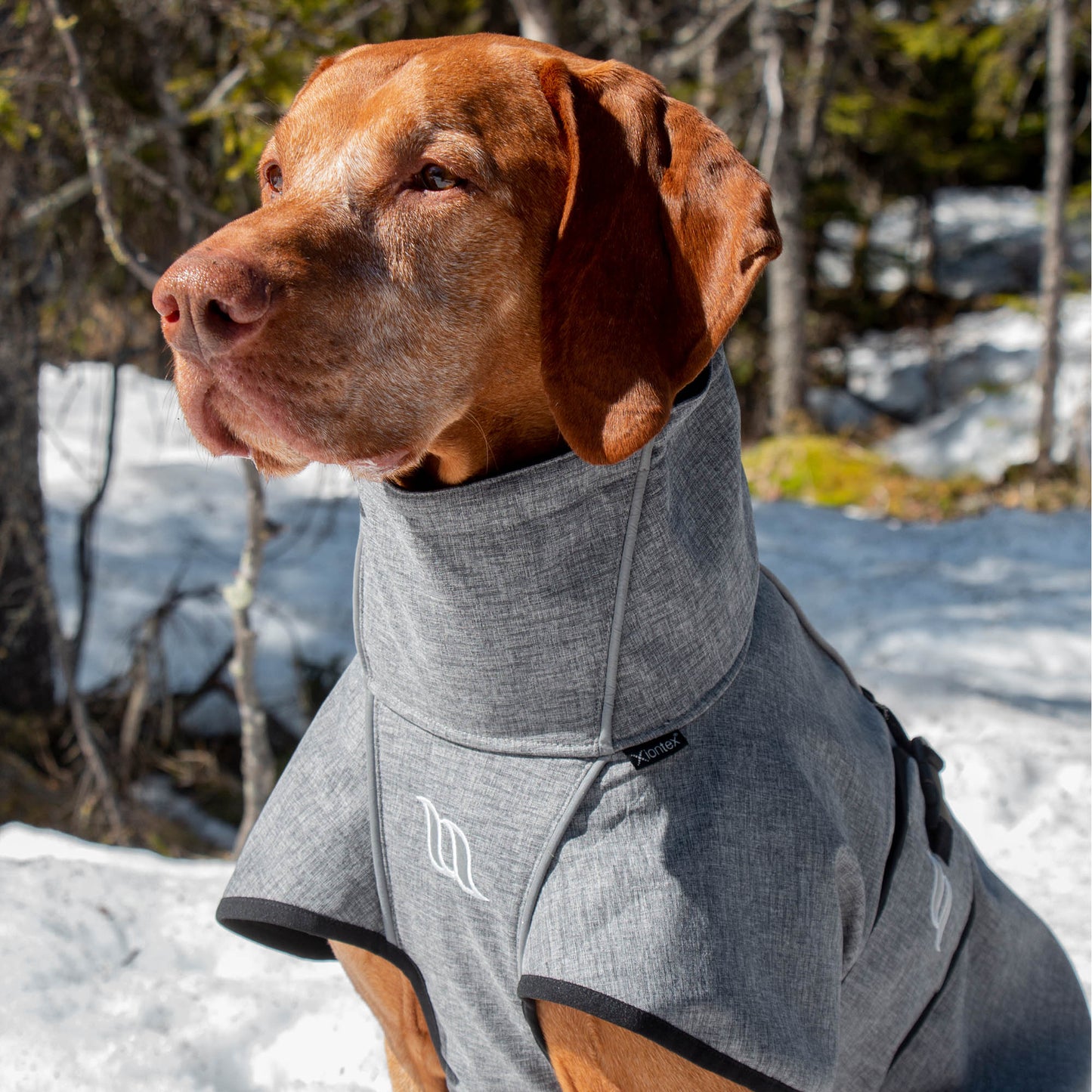 "Nella" All Weather Dog Coat