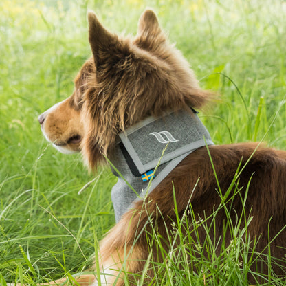 Bandana ad alta visibilità "Draco"
