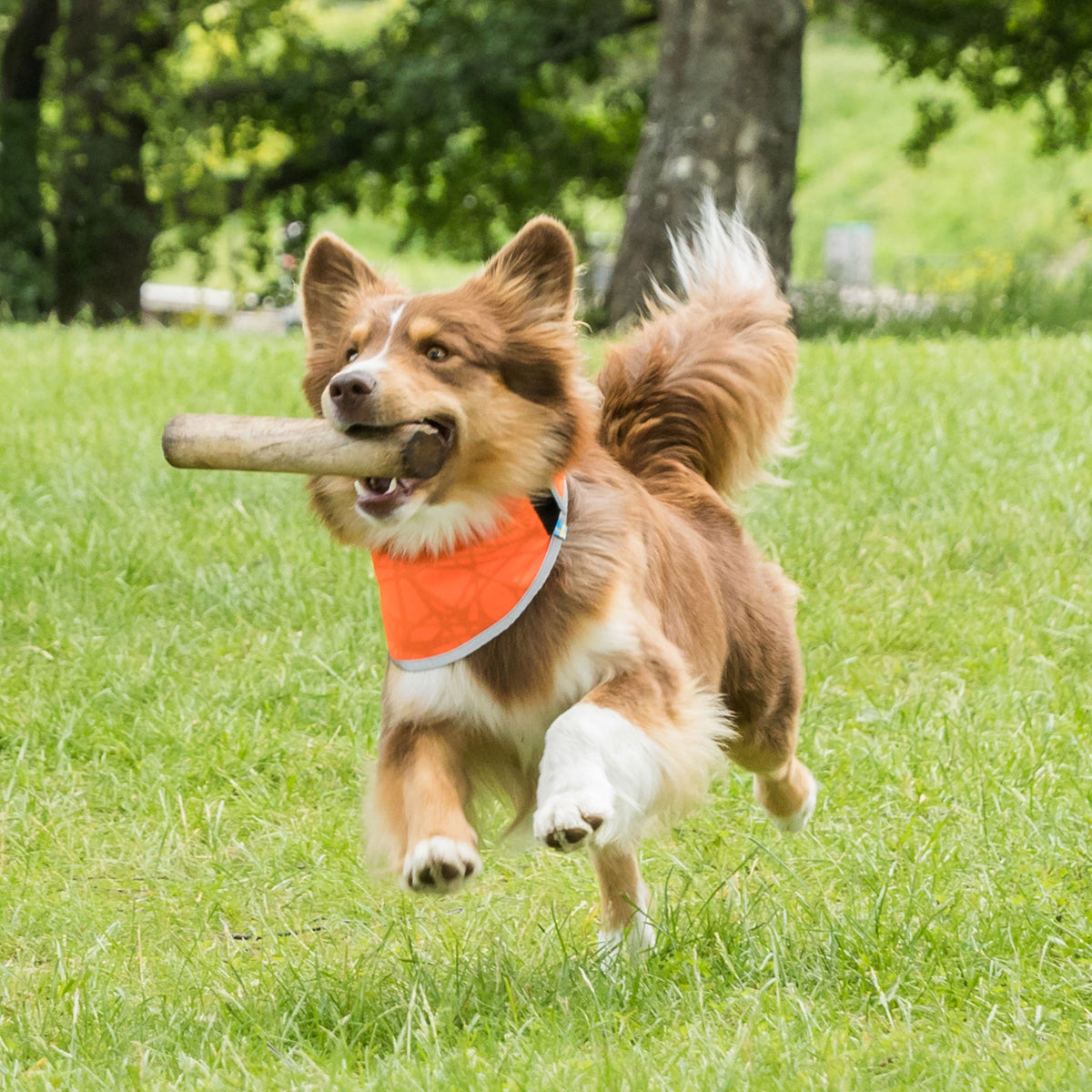 Bandana ad alta visibilità "Draco"