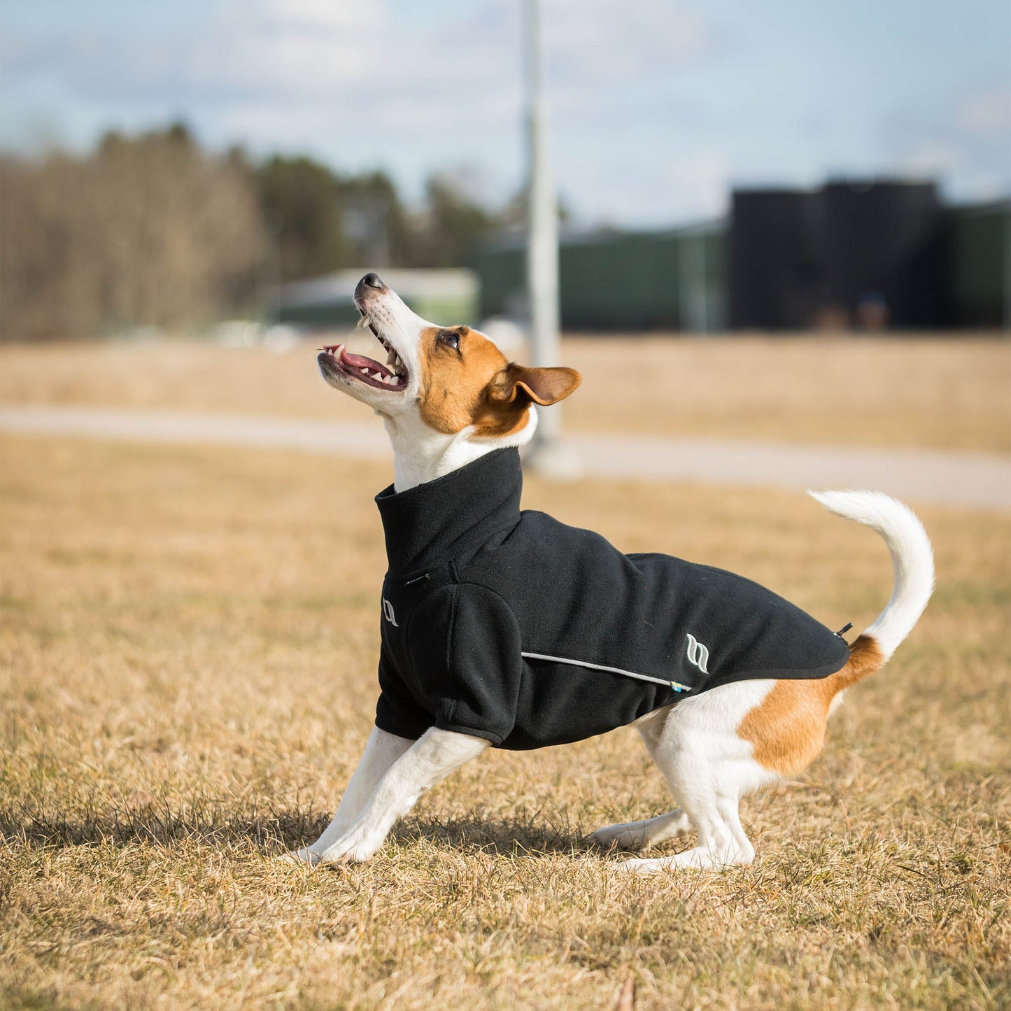 "Cassie" Hundepullover