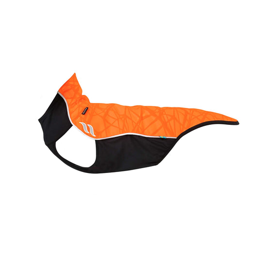 "Eddie" Petit pull pour chien