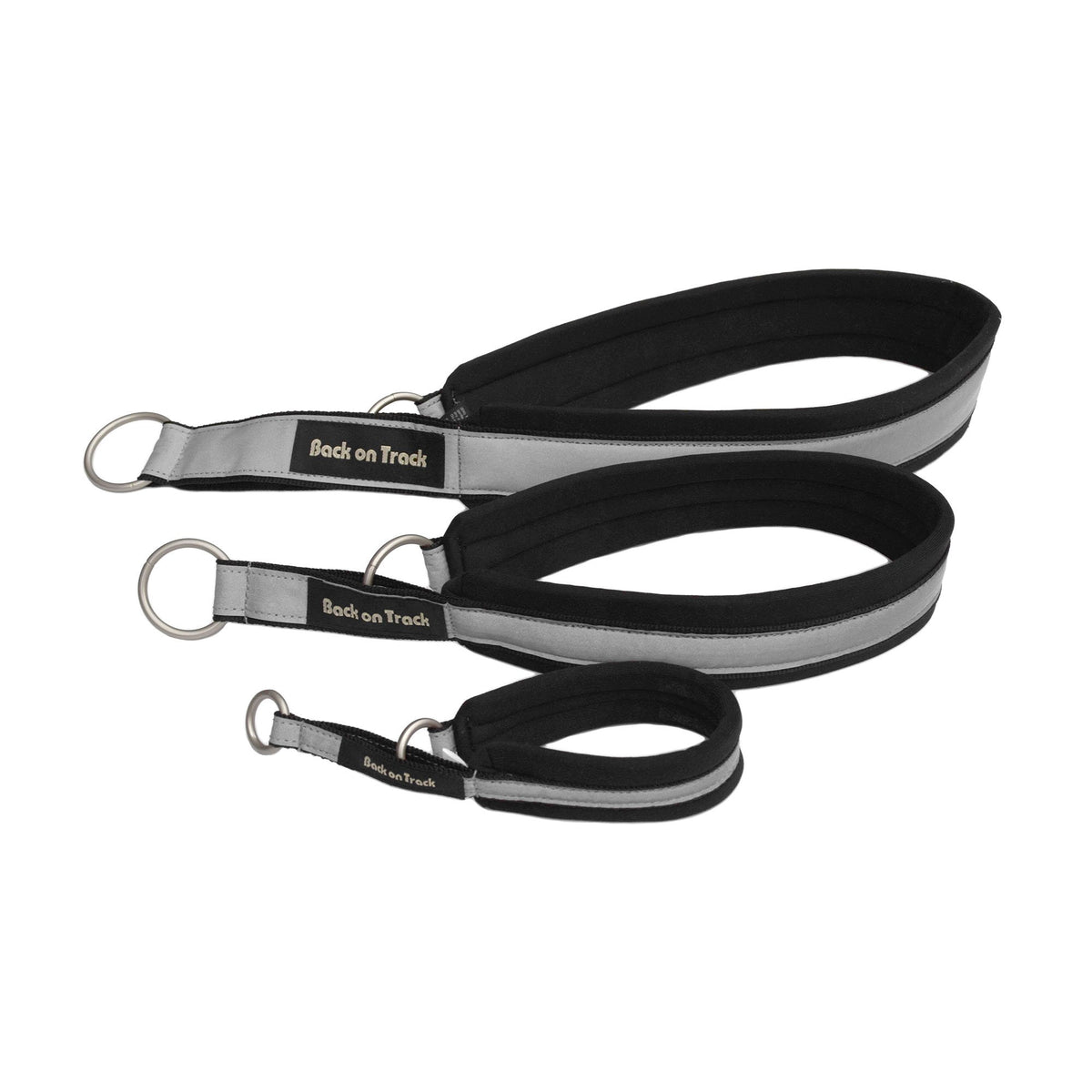 Hundhalsband Molly - Back on Track Sverige (5300242448539)