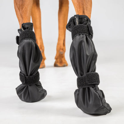 Chaussures pour animaux de compagnie « Lola »