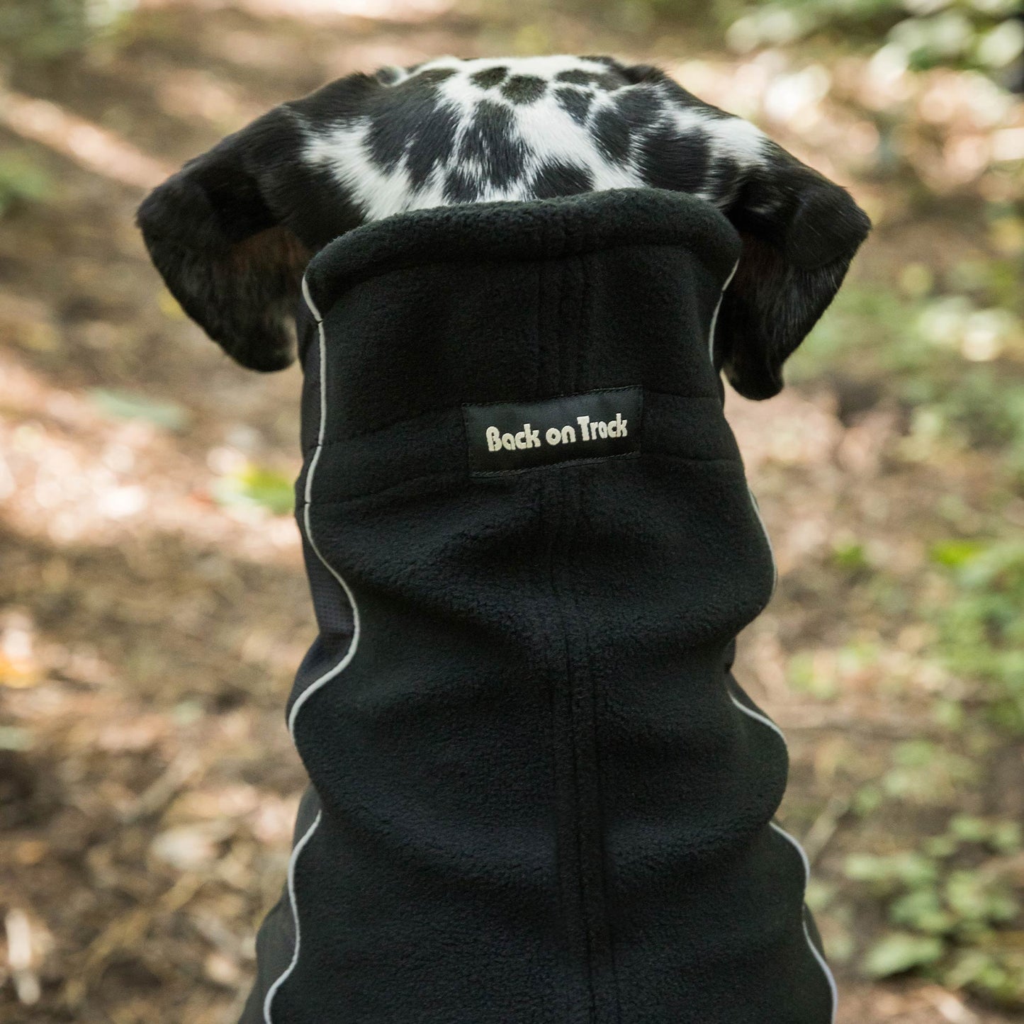 "Benji" Nekwarmer