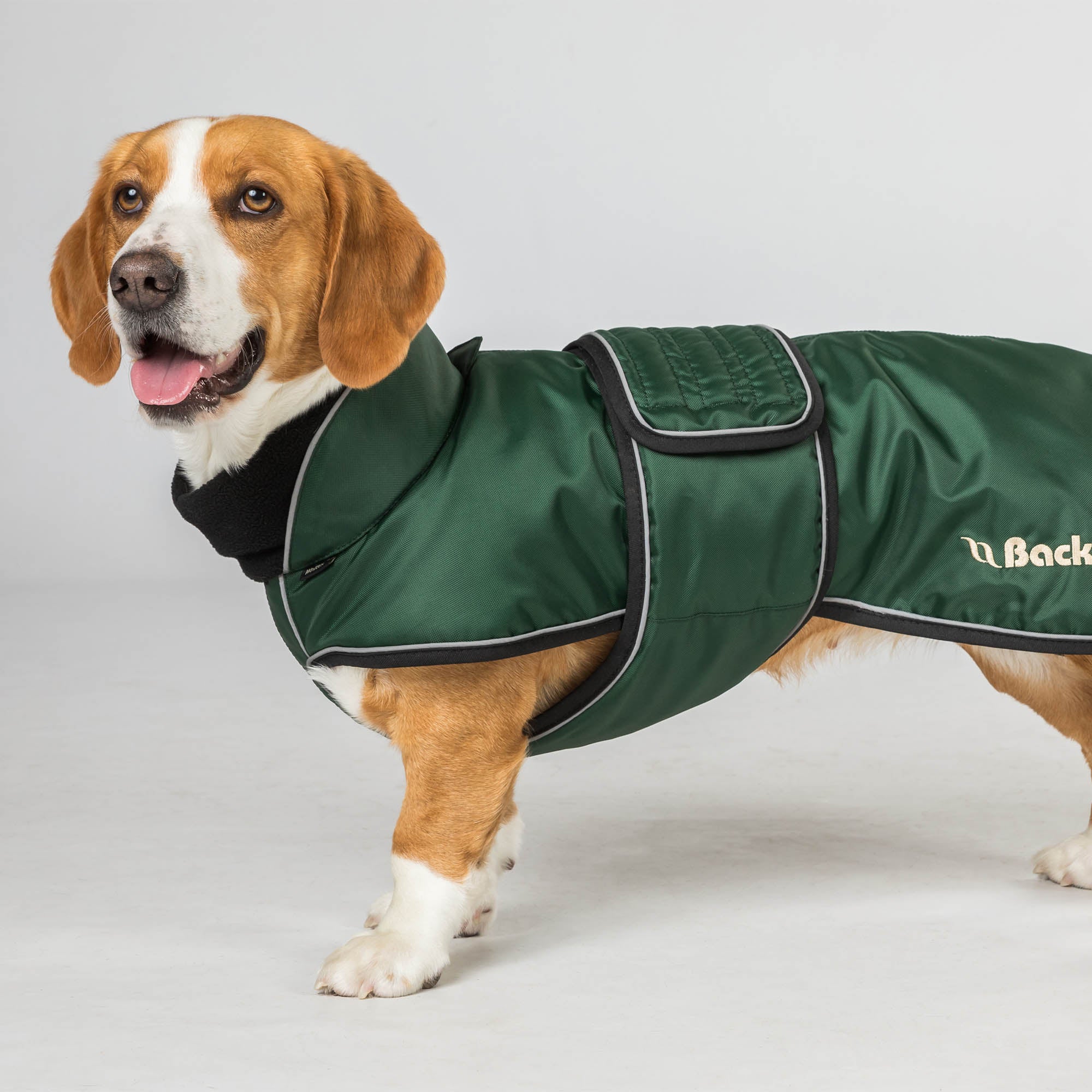"Buddy" Manteau long pour chien