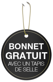 Bonnet Gratuit